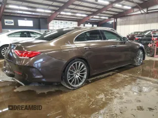 2019 Mercedes-Benz CLS with VIN WDD2J5JB2KA028193, listed as a Copart auction lot 44910485 with 66,844 mi miles and Clean Title. Bid and sale history available at carsss.com. Image 3.