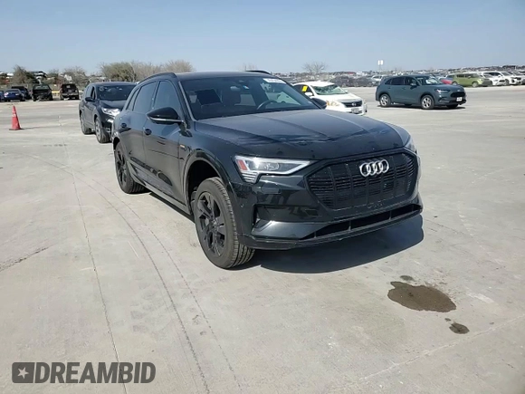 2022 Audi e-tron Premium with VIN WA1AAAGE7NB027856, listed as a Copart auction lot 49494955 with 53,947 mi miles and Salvage Title. Bid and sale history available at DreamBid. Image 12.