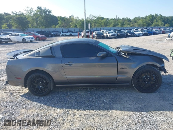 2014 Ford Mustang GT with VIN 1ZVBP8CF4E5246348, listed as a IAAI auction lot 42375301 with 159,687 mi miles and . Bid and sale history available at DreamBid. Image 13.
