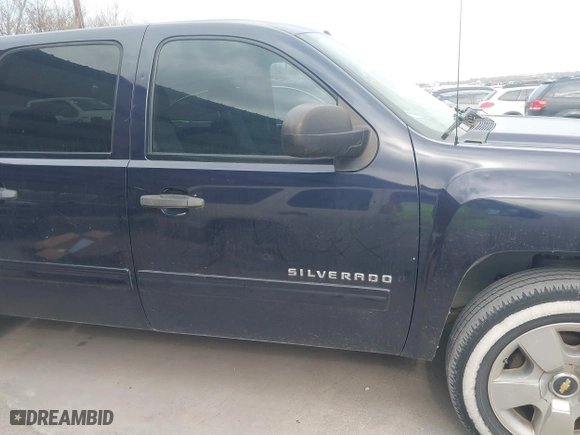 2009 Chevrolet Silverado 1500 LS with VIN 3GCEC13C29G278190, listed as a IAAI auction lot 41789639 with 171,183 mi miles. Bid and sale history available at carsss.com. Image 13.