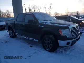 2010 Ford F-150 XL with VIN 1FTFW1EV9AFA55371, listed as a Copart auction lot 84890764 with Not Provided miles and Clean Title. Bid and sale history available at carsss.com. Image 4.