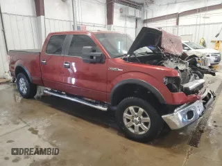 2014 Ford F-150 XL with VIN 1FTFW1EFXEKD54762, listed as a Copart auction lot 56337675 with 244,542 mi miles and Non repairable. Bid and sale history available at DreamBid. Image 4.