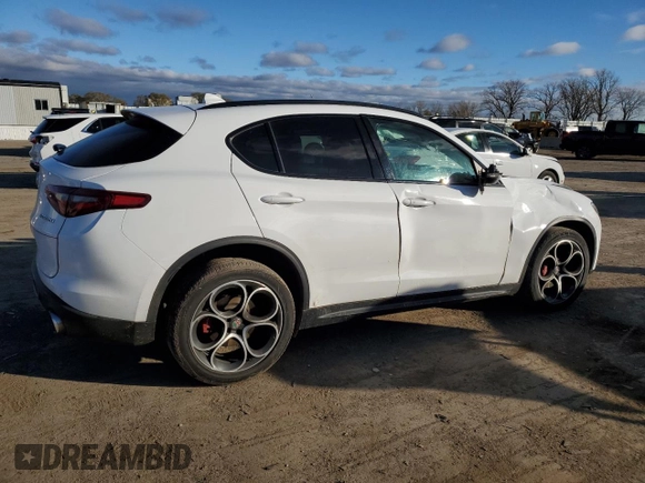 2019 Alfa Romeo Stelvio Ti with VIN ZASPAKBN7K7C50837, listed as a Copart auction lot 80262404 with Not provided miles and Salvage title. Bid and sale history available at DreamBid. Image 3.