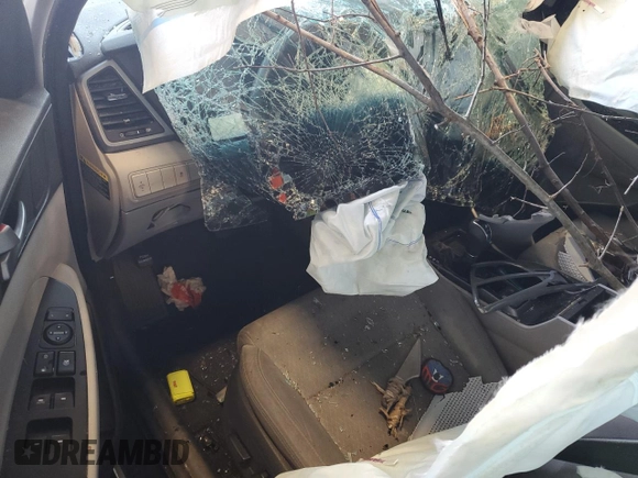 2018 Hyundai Tucson SEL with VIN KM8J3CA49JU693400, listed as a Copart auction lot 52046405 with Not provided miles and Salvage title. Bid and sale history available at DreamBid. Image 8.