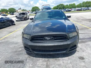 2013 Ford Mustang V6 with VIN 1ZVBP8AM5D5263496, listed as a IAAI auction lot 42580278 with 107,040 mi miles and . Bid and sale history available at DreamBid. Image 12.