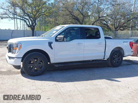 2023 Ford F-150 XL with VIN 1FTEW1C57PFC48190, listed as a IAAI auction lot 41696009 with 34,776 mi miles and . Bid and sale history available at DreamBid. Image 14.