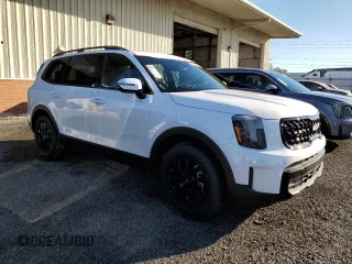 2024 Kia Telluride SX X-Line with VIN 5XYP5DGC6RG508522, listed as a Copart auction lot 81032314 with 14 mi miles and Salvage Title. Bid and sale history available at carsss.com. Image 4.