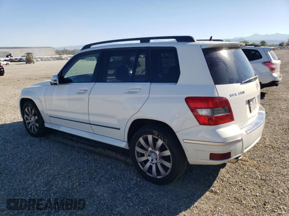 2010 Mercedes-Benz GLK 350 with VIN WDCGG5GB9AF444212, listed as a Copart auction lot 72044054 with 111,483 mi miles and Salvage Title. Bid and sale history available at DreamBid. Image 2.