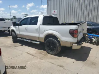 2009 Ford F-150 XL with VIN 1FTPW14VX9KA17124, listed as a Copart auction lot 55144375 with 257,748 mi miles and Salvage title. Bid and sale history available at DreamBid. Image 2.