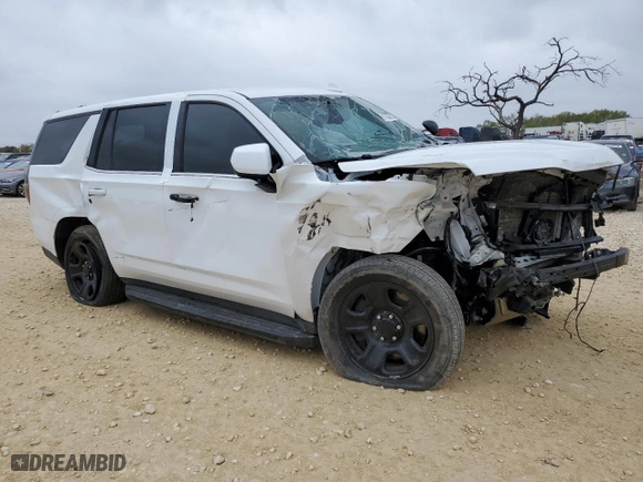 2023 Chevrolet Tahoe Commercial with VIN 1GNSCLED5PR350220, listed as a Copart auction lot 81706034 with 0 mi miles and Salvage Title. Bid and sale history available at carsss.com. Image 4.
