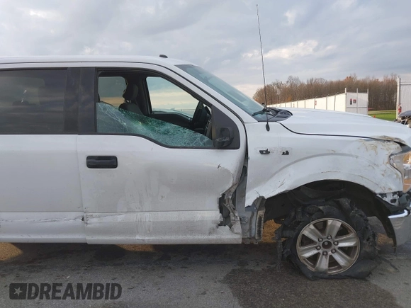 2016 Ford F-150 XLT with VIN 1FTFW1EF9GFA79042, listed as a IAAI auction lot 40942313 with 133,550 mi miles. Bid and sale history available at carsss.com. Image 6.