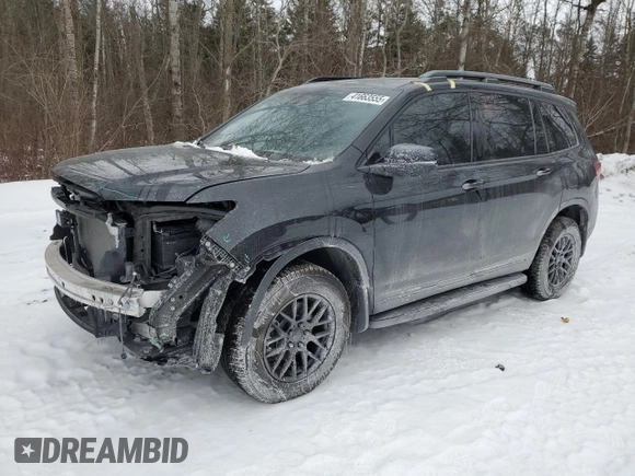 2024 Honda Passport Black Edition with VIN 5FNYF8H86RB500382, listed as a Copart auction lot 41663555 with 6,942 mi miles and Salvage title. Bid and sale history available at DreamBid. Image 1.