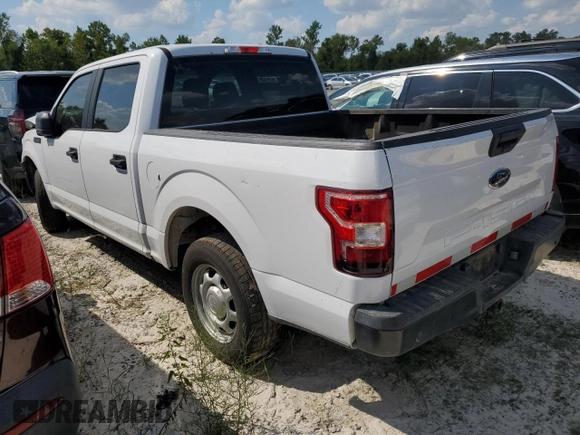 2019 Ford F-150 XL with VIN 1FTEW1CBXKKF14856, listed as a Copart auction lot 71306444 with 100,057 mi miles and Salvage title. Bid and sale history available at DreamBid. Image 2.
