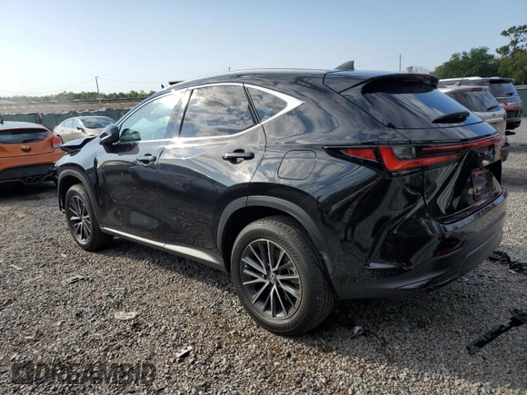 2024 Lexus NX 350 Premium с VIN 2T2GGCEZ0RC041388, выставлен на аукционе Copart как лот 53429865 с пробегом 6 699 миль миль и Списание • Salvage title. История ставок и продаж доступна на DreamBid. Изображение 2.