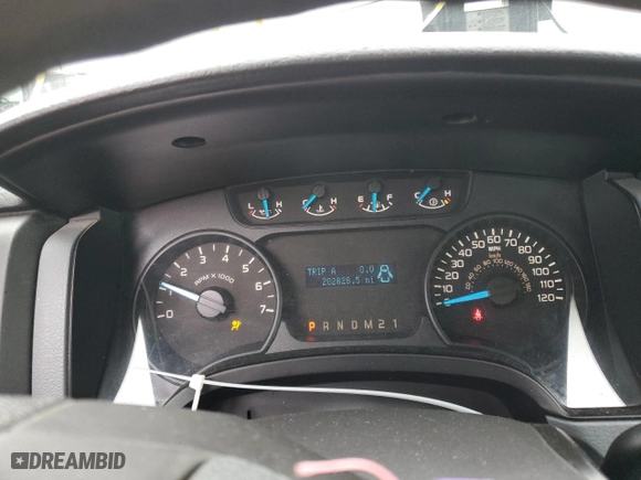 2013 Ford F-150 XL with VIN 1FTNF1EF0DKG19621, listed as a Copart auction lot 46440935 with 202,828 mi miles and Salvage Title. Bid and sale history available at carsss.com. Image 9.