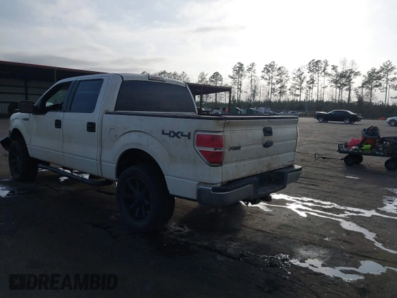 2013 Ford F-150 XL with VIN 1FTFW1EF1DKD13578, listed as a IAAI auction lot 41590263 with 192,230 mi miles and . Bid and sale history available at DreamBid. Image 3.