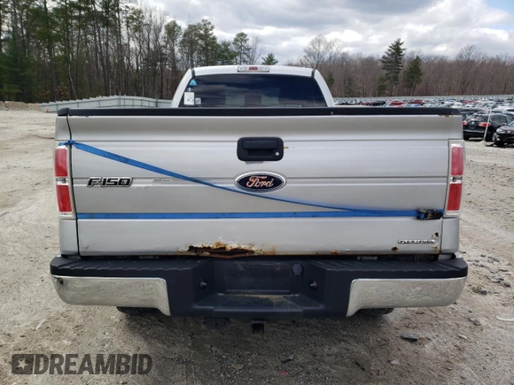 2011 Ford F-150 with VIN 1FTPF1EFXBKD33183, listed as a Copart auction lot 50461285 with 132,718 mi miles and Clean title. Bid and sale history available at DreamBid. Image 6.