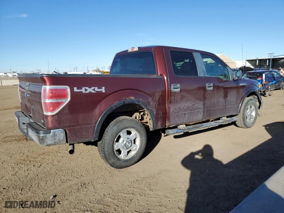 2010 Ford F-150 XL with VIN 1FTFW1EVXAFA51393, listed as a Copart auction lot 45885815 with 259,486 mi miles and Salvage Title. Bid and sale history available at carsss.com. Image 3.