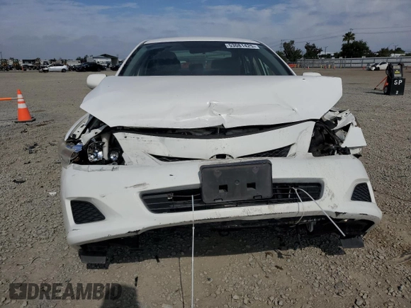2010 Toyota Corolla with VIN JTDBU4EE7AJ071846, listed as a Copart auction lot 53081425 with Not Provided miles and Salvage Title. Bid and sale history available at DreamBid. Image 5.