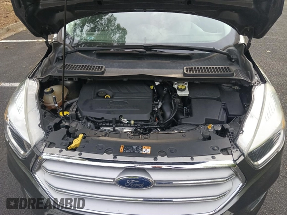 2017 Ford Escape SE with VIN 1FMCU0GD6HUD48718, listed as a Copart auction lot 55395555 with 120,866 mi miles and Clean Title. Bid and sale history available at carsss.com. Image 7.