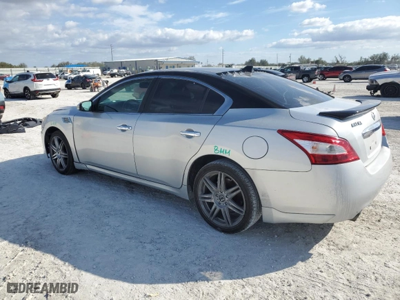 2009 Nissan Maxima 3.5 S with VIN 1N4AA51E89C856513, listed as a Copart auction lot 42772645 with 113,658 mi miles and Salvage Title. Bid and sale history available at carsss.com. Image 2.