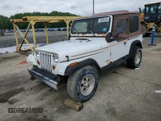 1993 Jeep Wrangler z VIN 1J4FY29S6PP245917, wystawiony jako Copart lot #58805235 z przebiegiem 162 170 mil mil oraz Czysty tytuł • Clean title. Historia ofert i sprzedaży dostępna na DreamBid. Obrazek 1.