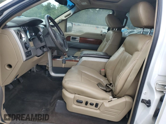 2009 Ford F-150 XL with VIN 1FTPW14V19FB11482, listed as a Copart auction lot 62647635 with 317,024 mi miles and Salvage title. Bid and sale history available at DreamBid. Image 7.