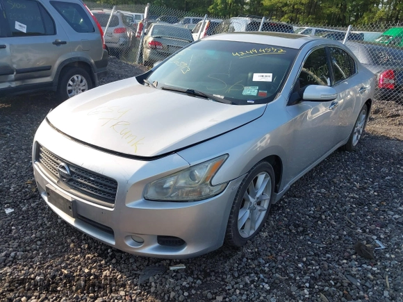 2011 Nissan Maxima SV with VIN 1N4AA5AP8BC812129, listed as a IAAI auction lot 42494532 with Not provided miles and . Bid and sale history available at DreamBid. Image 2.