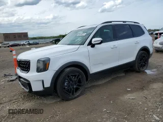 2025 Kia Telluride SX X-Line с VIN 5XYP5DGC0SG615829, выставлен на аукционе Copart как лот 54059675 с пробегом 5 337 миль миль и Списание • Salvage title. История ставок и продаж доступна на DreamBid. Изображение 1.