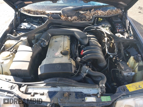 1995 Mercedes-Benz E with VIN WDBEA92E7SF310418, listed as a IAAI auction lot 41762503 with 206,153 mi miles and . Bid and sale history available at DreamBid. Image 10.