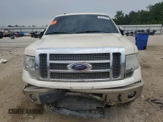 2009 Ford F-150 XL z VIN 1FTPW14V19KB33070, wystawiony jako Copart lot #55521345 z przebiegiem Nie podano mil oraz Szkoda całkowita • Salvage title. Historia ofert i sprzedaży dostępna na DreamBid. Obrazek 5.