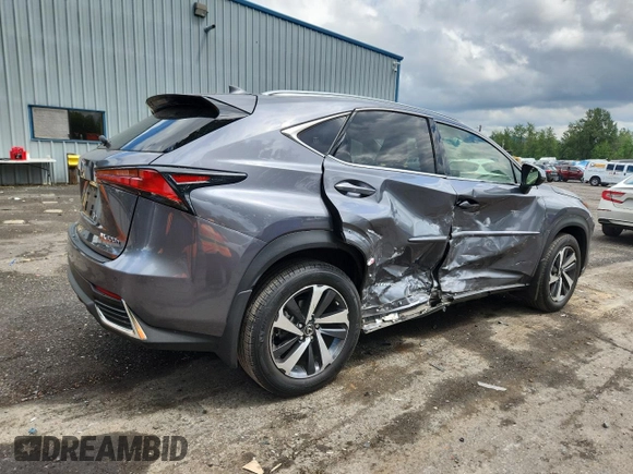 2020 Lexus NX 300h with VIN JTJGJRDZ9L2143138, listed as a Copart auction lot 59030775 with 31,817 mi miles and Salvage title. Bid and sale history available at DreamBid. Image 3.