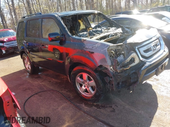 2009 Honda Pilot EX-L with VIN 5FNYF48699B023311, listed as a IAAI auction lot 41981928 with Not Provided miles and . Bid and sale history available at carsss.com. Image 1.