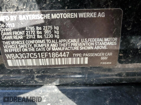 2014 BMW 3 Series 328i xDrive with VIN WBA3G7C51EF186447, listed as a Copart auction lot 51299955 with 114,093 mi miles and Salvage Title. Bid and sale history available at carsss.com. Image 13.