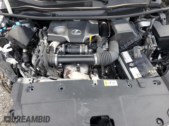 2019 Lexus NX 300 with VIN JTJBARBZ3K2189396, listed as a Copart auction lot 60099615 with 36,331 mi miles and Salvage title. Bid and sale history available at DreamBid. Image 12.
