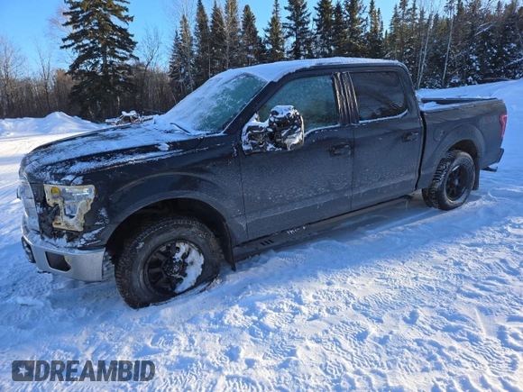 2015 Ford F-150 XLT with VIN 1FTEW1E83FFC62819, listed as a Copart auction lot 88493345 with 295,867 mi miles and Salvage Title. Bid and sale history available at DreamBid. Image 1.