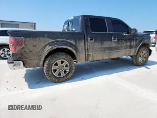 2013 Ford F-150 XL z VIN 1FTFW1EF8DFB01480, wystawiony jako Copart lot #57902035 z przebiegiem 186 699 mil mil oraz Szkoda całkowita • Salvage title. Historia ofert i sprzedaży dostępna na DreamBid. Obrazek 3.