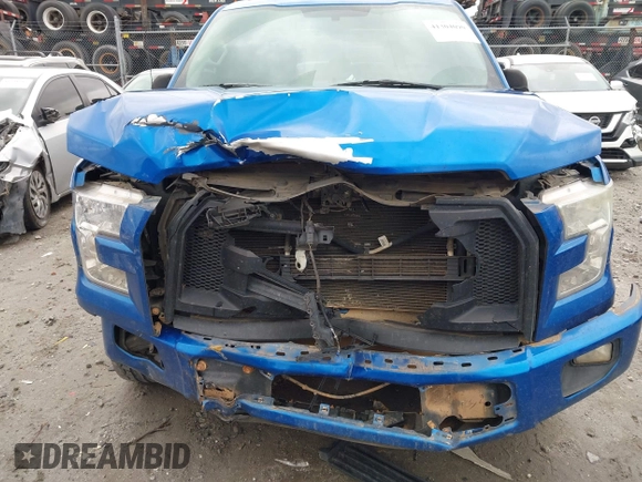 2016 Ford F-150 XL with VIN 1FTEX1C81GFA58201, listed as a IAAI auction lot 41304090 with 185,210 mi miles and . Bid and sale history available at carsss.com. Image 12.