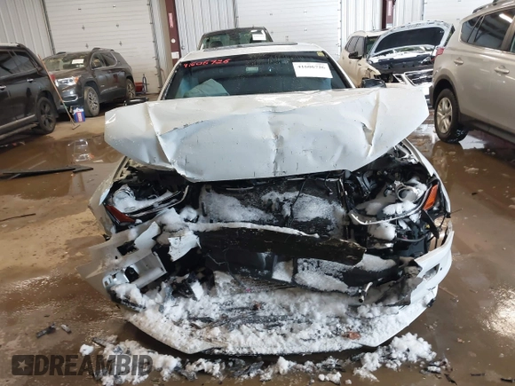 2016 Audi A4 Premium Plus with VIN WAUFFAFL2GA002902, listed as a IAAI auction lot 41606726 with 85,128 mi miles. Bid and sale history available at carsss.com. Image 12.