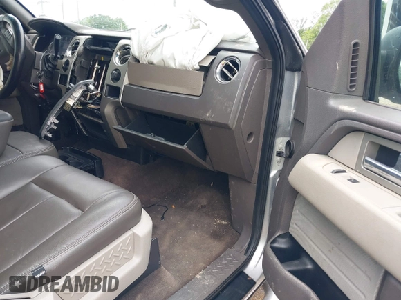 2010 Ford F-150 XL with VIN 1FTEW1C86AFB15213, listed as a IAAI auction lot 42072644 with 234,058 mi miles. Bid and sale history available at carsss.com. Image 5.