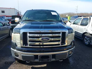 2009 Ford F-150 XL with VIN 1FTRW14829FB12059, listed as a IAAI auction lot 41686110 with 247,892 mi miles and . Bid and sale history available at DreamBid. Image 12.