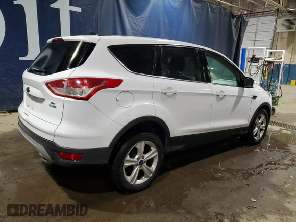 2014 Ford Escape SE with VIN 1FMCU9GX7EUB50417, listed as a Copart auction lot 44676985 with 123,539 mi miles and Clean Title. Bid and sale history available at DreamBid. Image 3.