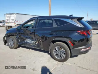 2024 Hyundai Tucson Blue with VIN KM8JBCD18RU167310, listed as a Copart auction lot 48020855 with 18,117 mi miles and Clean Title. Bid and sale history available at carsss.com. Image 2.