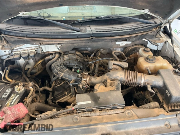 2013 Ford F-150 XL with VIN 1FTMF1CM3DKD43237, listed as a IAAI auction lot 42636389 with 164,975 mi miles and . Bid and sale history available at DreamBid. Image 37.