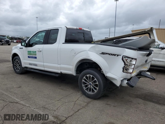 2019 Ford F-150 XL with VIN 1FTEX1CP1KFB02018, listed as a Copart auction lot 57113545 with 116,722 mi miles and Salvage title. Bid and sale history available at DreamBid. Image 2.