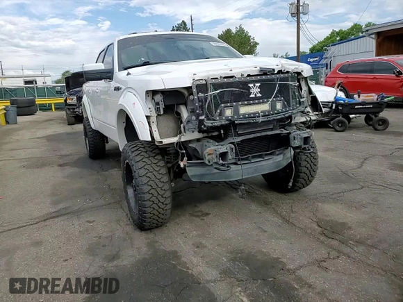 2013 Ford F-150 XL with VIN 1FTFW1ET0DKF55929, listed as a Copart auction lot 60686355 with 181,352 mi miles and Salvage title. Bid and sale history available at DreamBid. Image 10.
