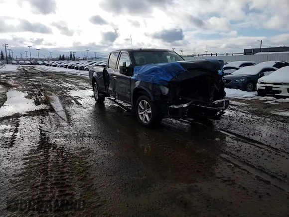 2015 Ford F-150 XLT with VIN 1FTFW1EG9FFD09525, listed as a Copart auction lot 52586755 with 93,817 mi miles and Salvage Title. Bid and sale history available at carsss.com. Image 11.