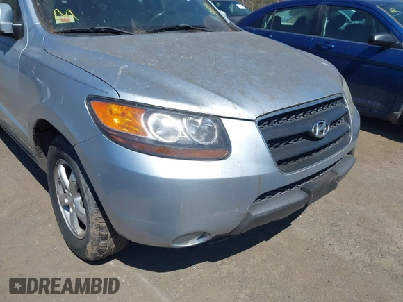 2007 Hyundai Santa Fe GLS with VIN 5NMSG13DX7H055249, listed as a IAAI auction lot 42065670 with 125,203 mi miles and . Bid and sale history available at DreamBid. Image 6.