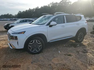 2021 Hyundai Santa Fe Limited with VIN 5NMS44AL7MH316966, listed as a Copart auction lot 45665785 with 60,176 mi miles and Salvage Title. Bid and sale history available at carsss.com. Image 1.