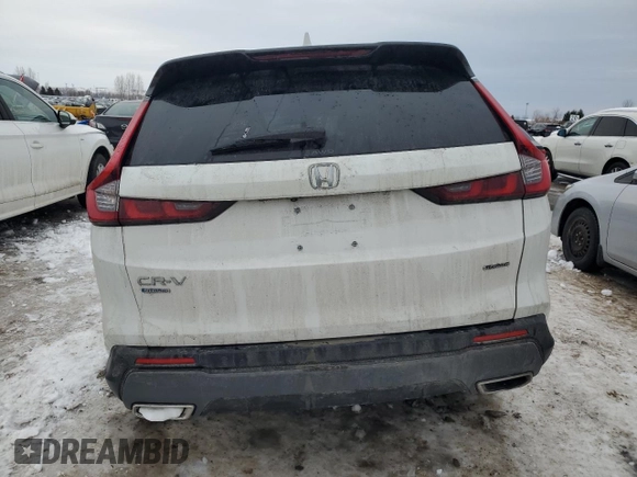2023 Honda CR-V Sport Touring with VIN 2HKRS6H94PH204613, listed as a Copart auction lot 45481935 with Not Provided miles and Clean Title. Bid and sale history available at DreamBid. Image 6.